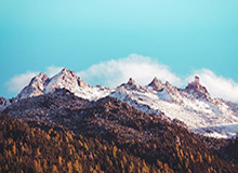 开云官网入口-印尼羽毛球大师赛：陈雨菲2-0碧查梦夺得女单冠军